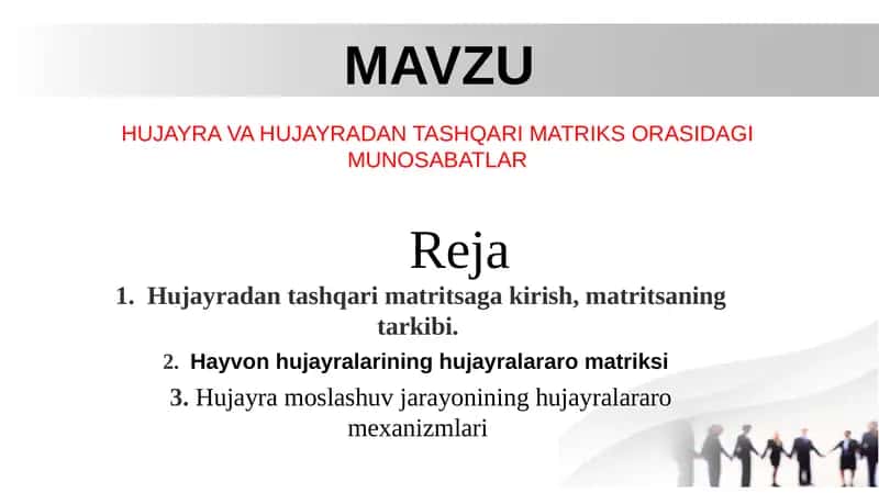 Hujayra va Hujayradan Tashqari Matriks Orasidagi Munosabatlar