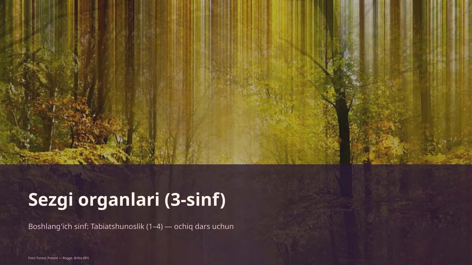 Sezgi organlari (3-sinf)