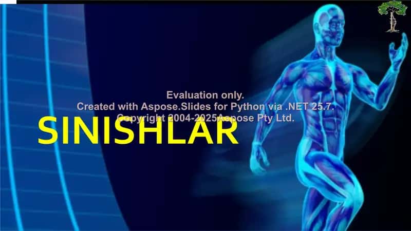 Sinishlar