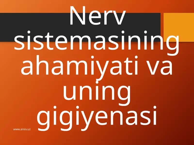 Nerv Faoliyati tiplari