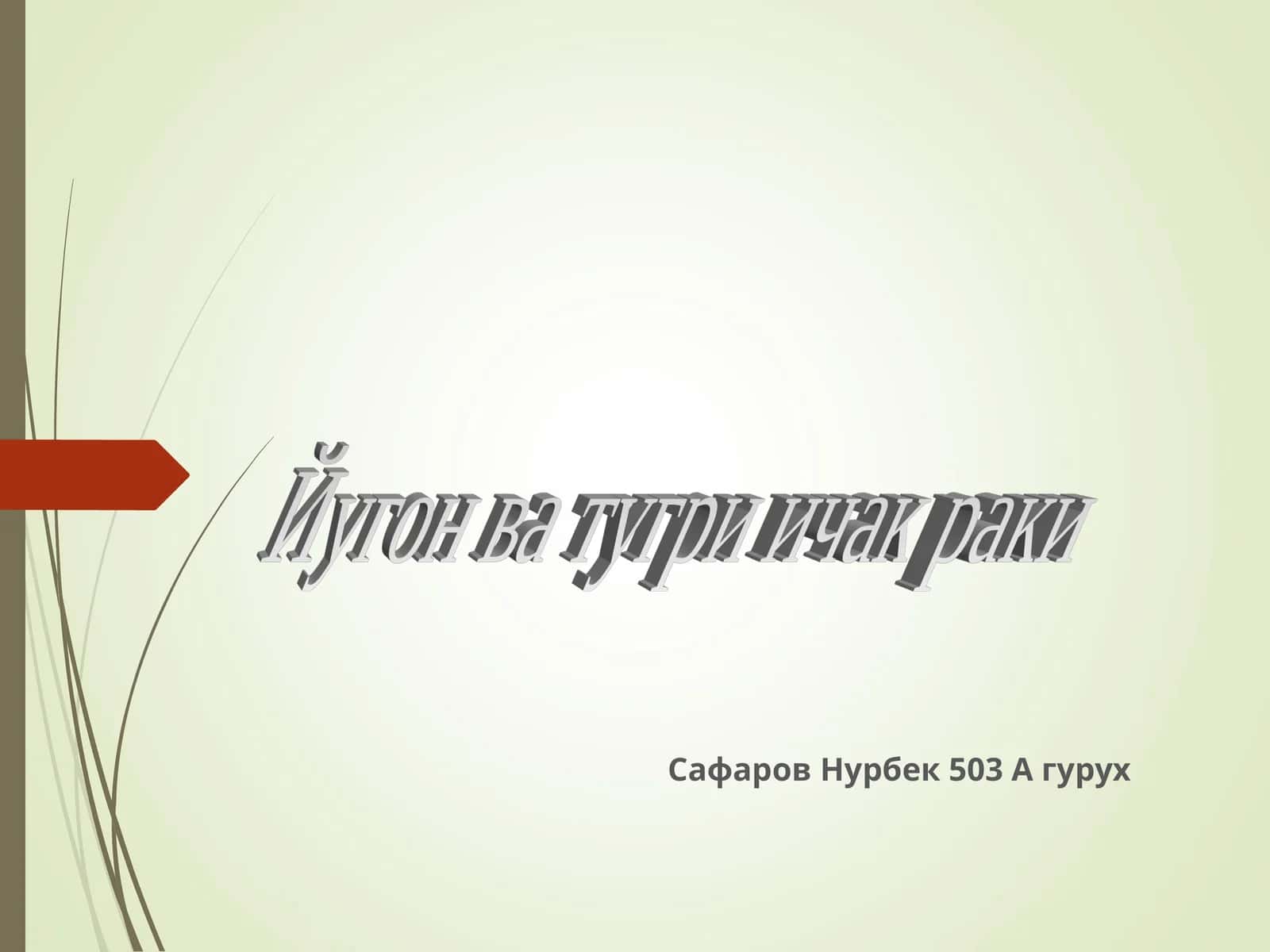 Тўғри ичак анатомияси: