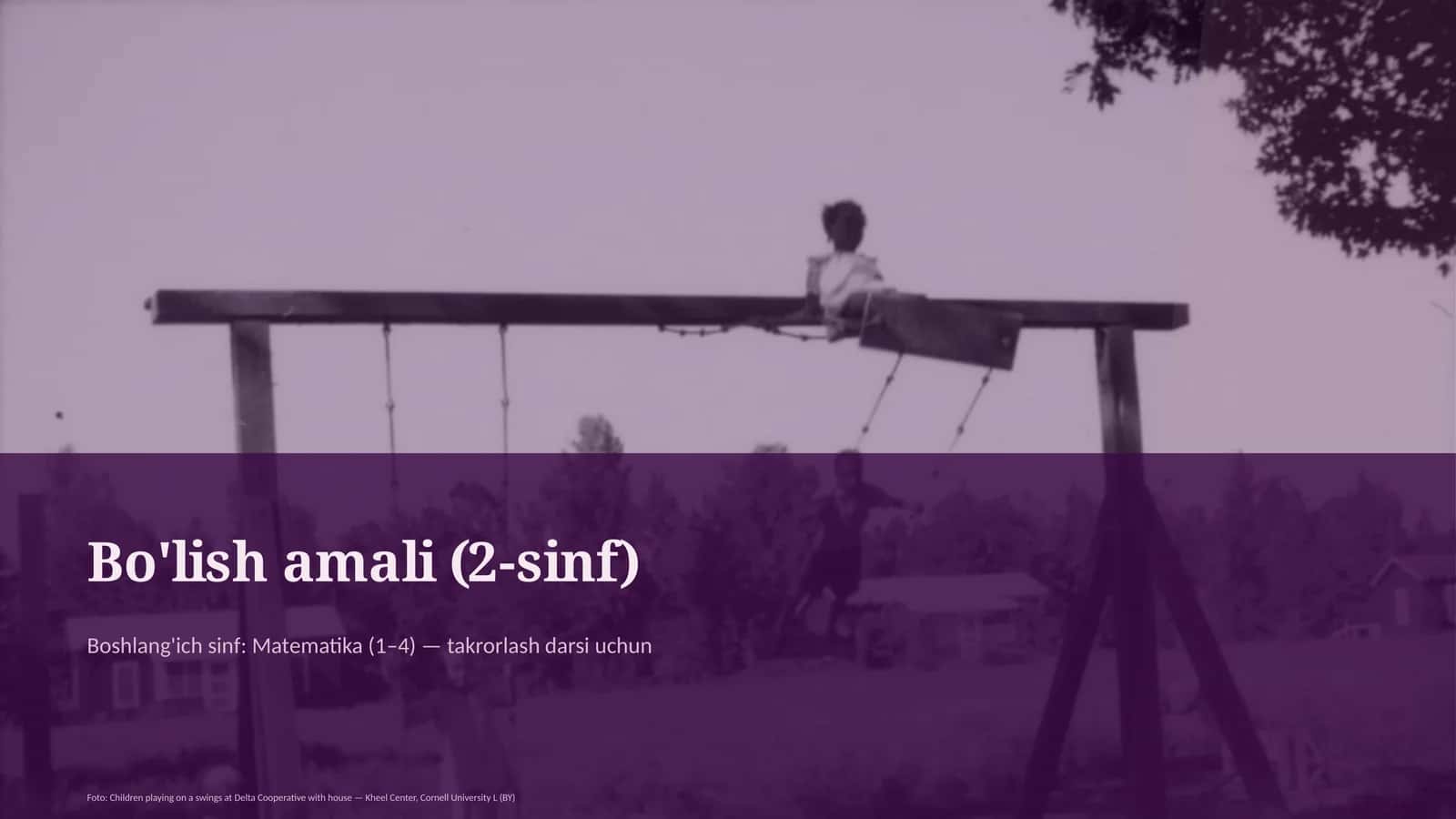 Bo'lish amali (2-sinf)