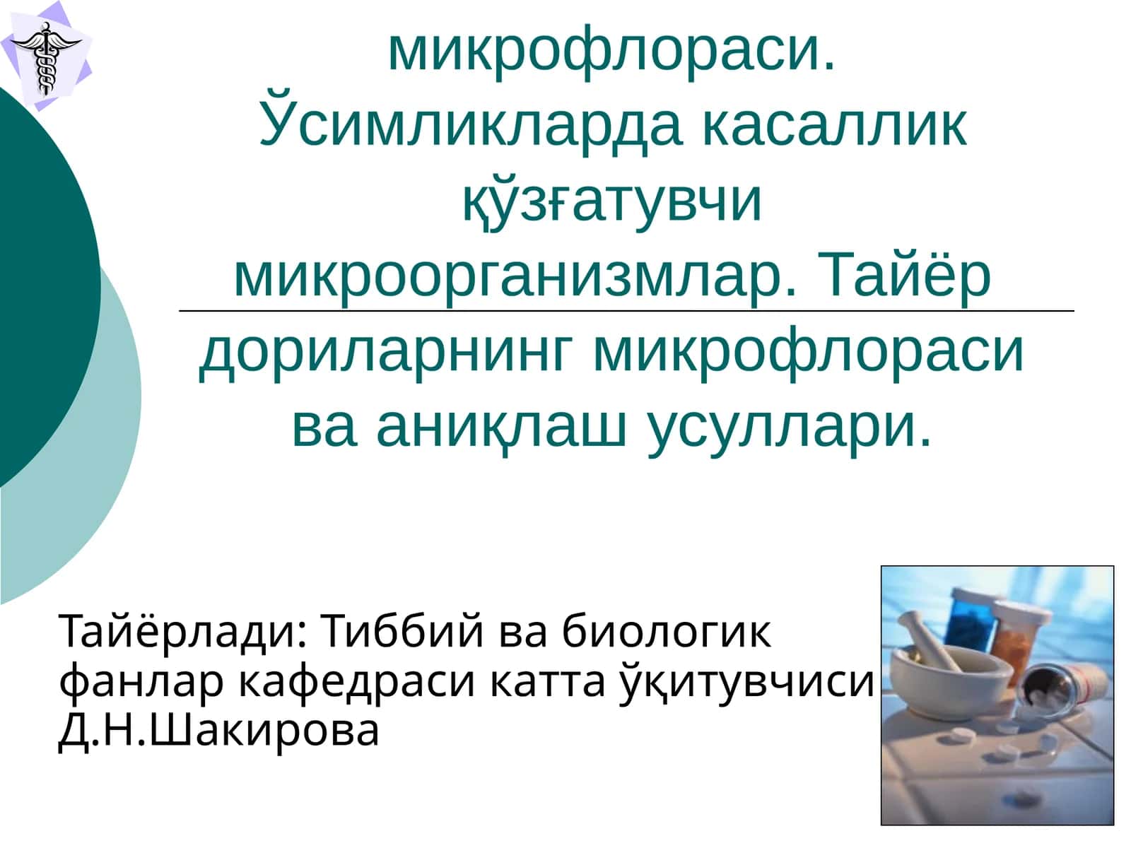 Доривор ўсимликлар хом ашёсининг микрофлораси