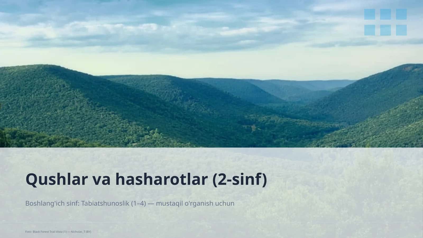 Qushlar va hasharotlar (2-sinf)