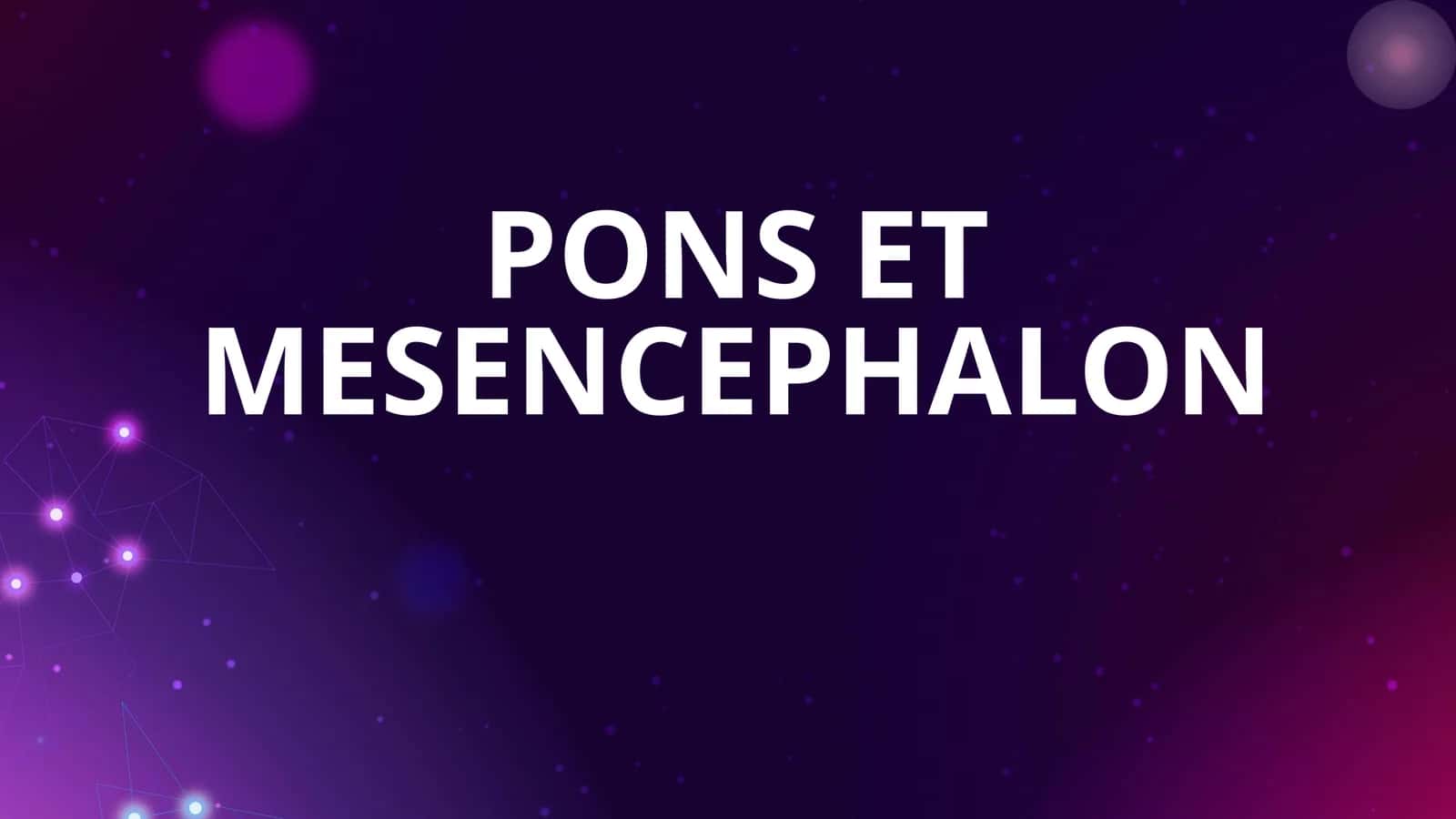 PONS ET MESENCEPHALON