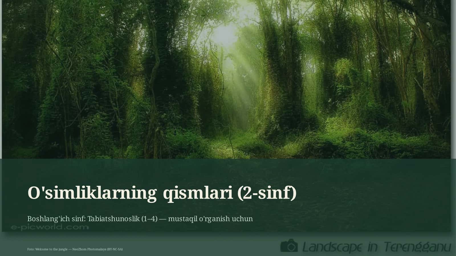 O'simliklarning qismlari (2-sinf)