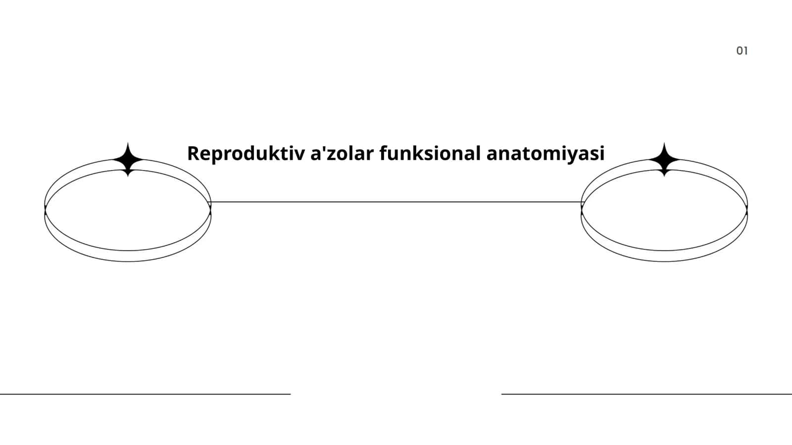 Ayol reproduktiv tizimining anatomiyasi