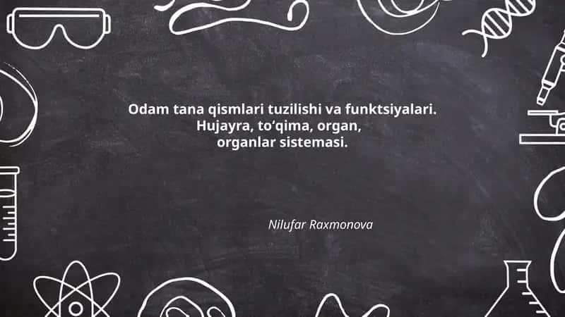 Odam tana qismlari tuzilishi va funktsiyalari