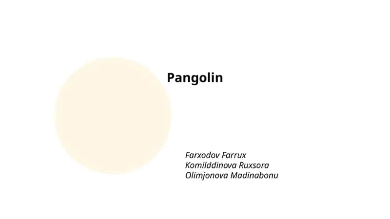 Pangolin