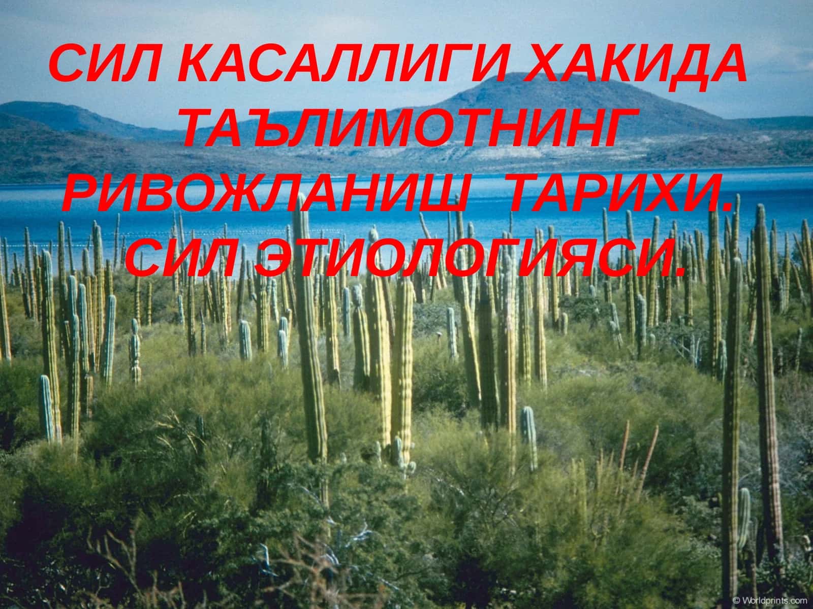 Сил Касаллиги Хакида Таълимотнинг Ривожланиш Тарихи. Сил Этиологияси