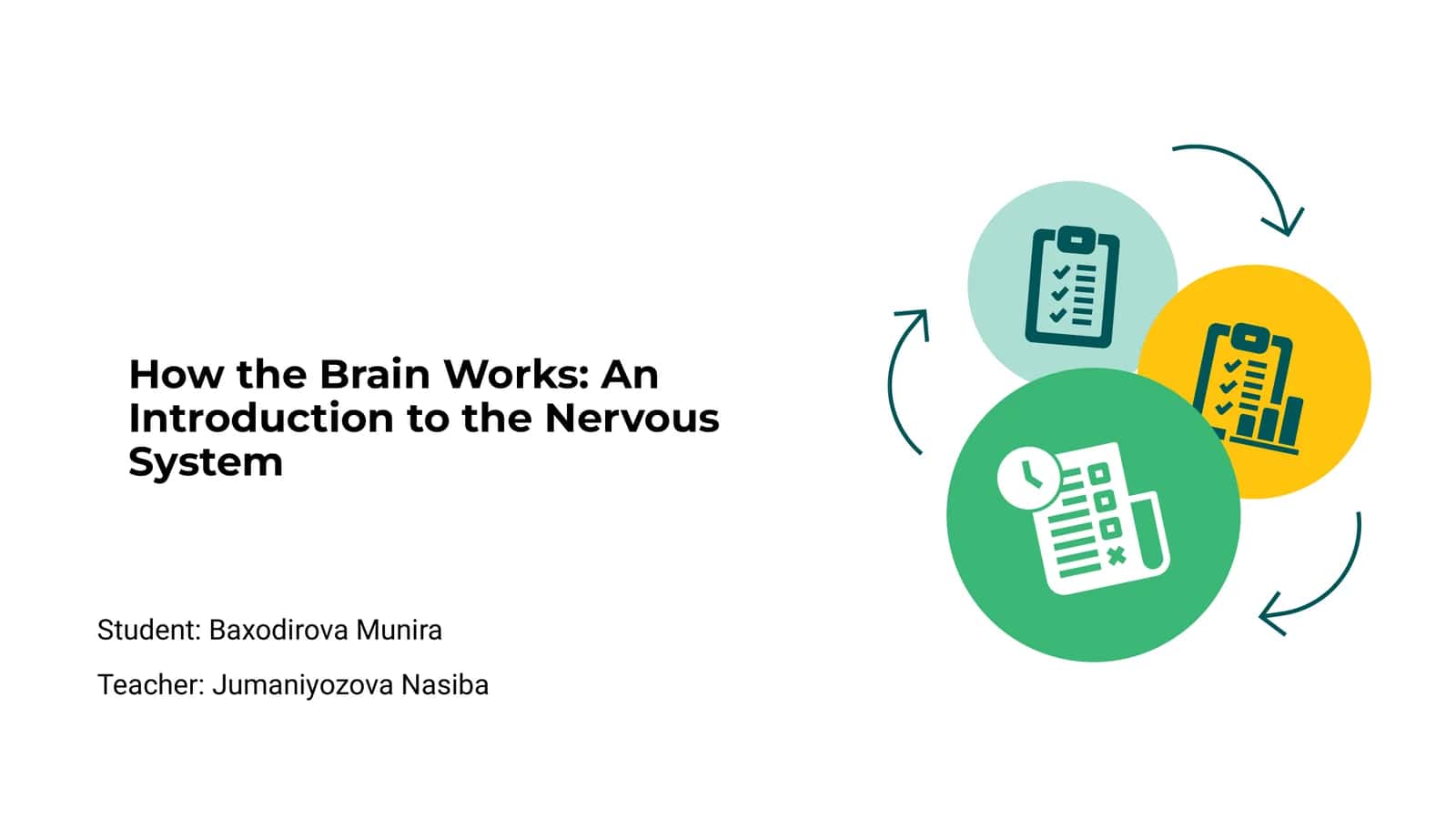 How the Brain Works: An Introduction to the Nervous System
