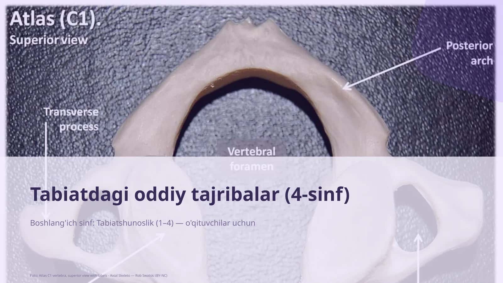 Tabiatdagi oddiy tajribalar (4-sinf)