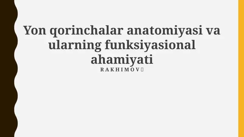 Qorinchalar anatomiyasi va ularning funksiyasional ahamiyati