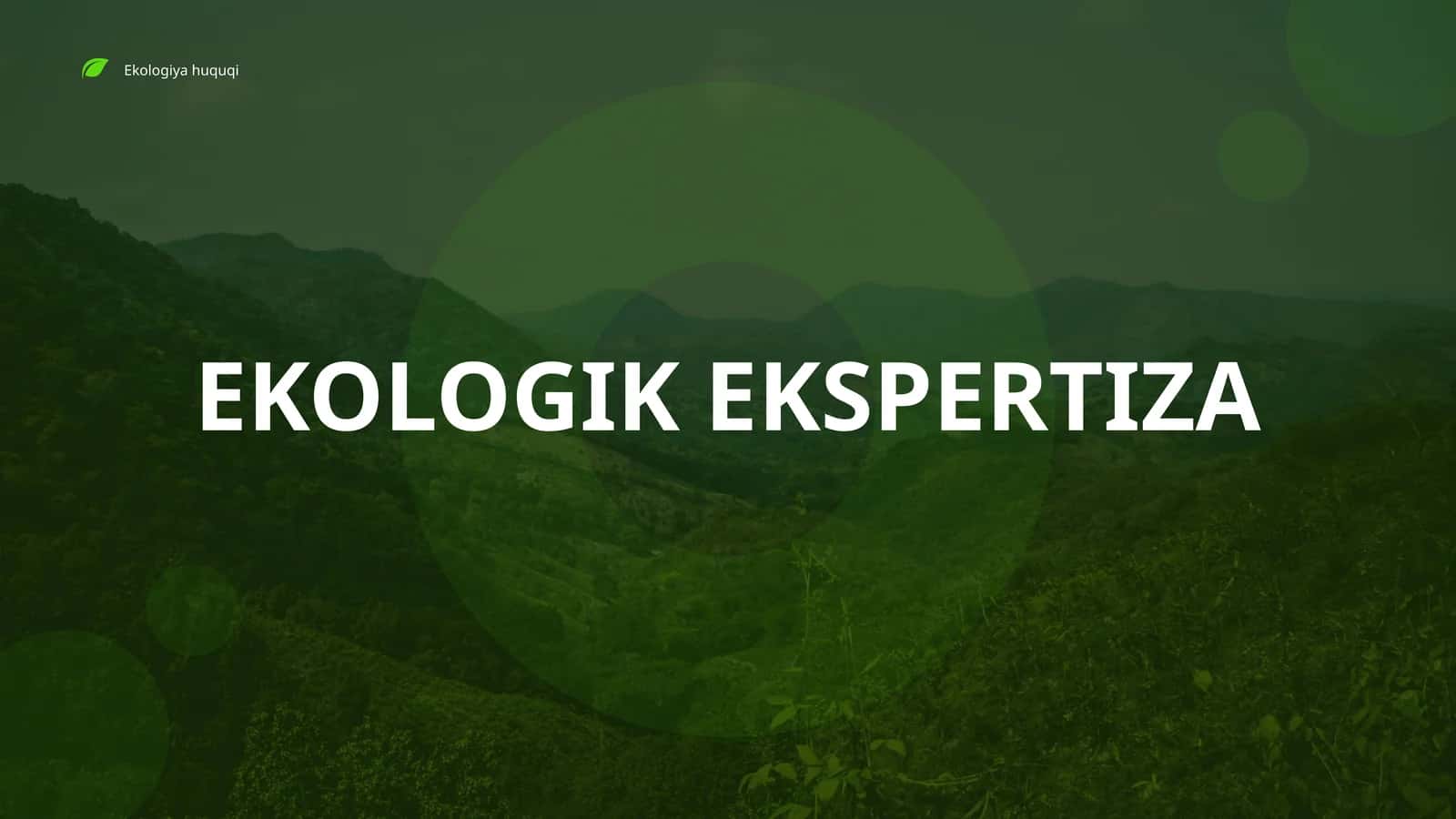 EKOLOGIK EKSPERTIZA