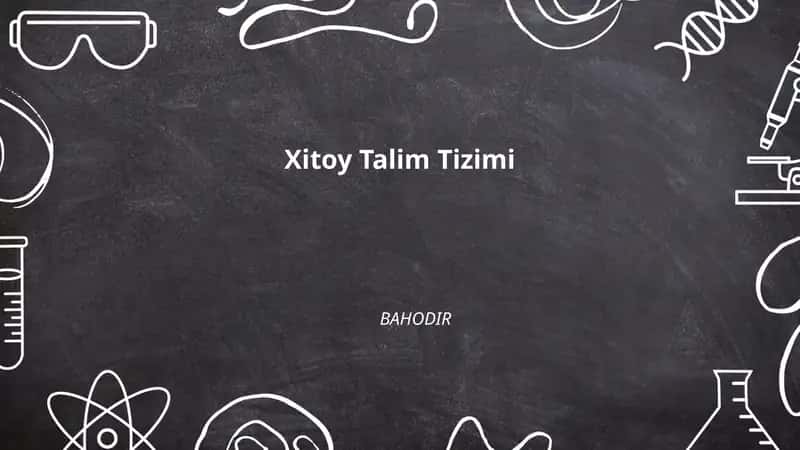 Xitoy Talim Tizimi