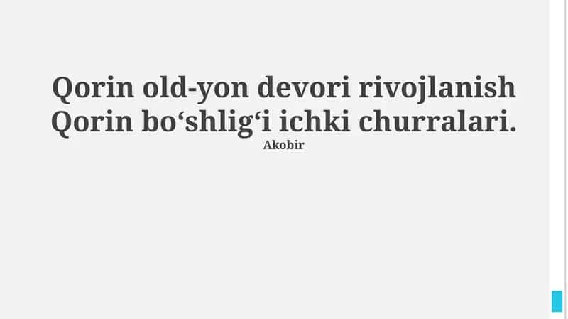 Son churrasi