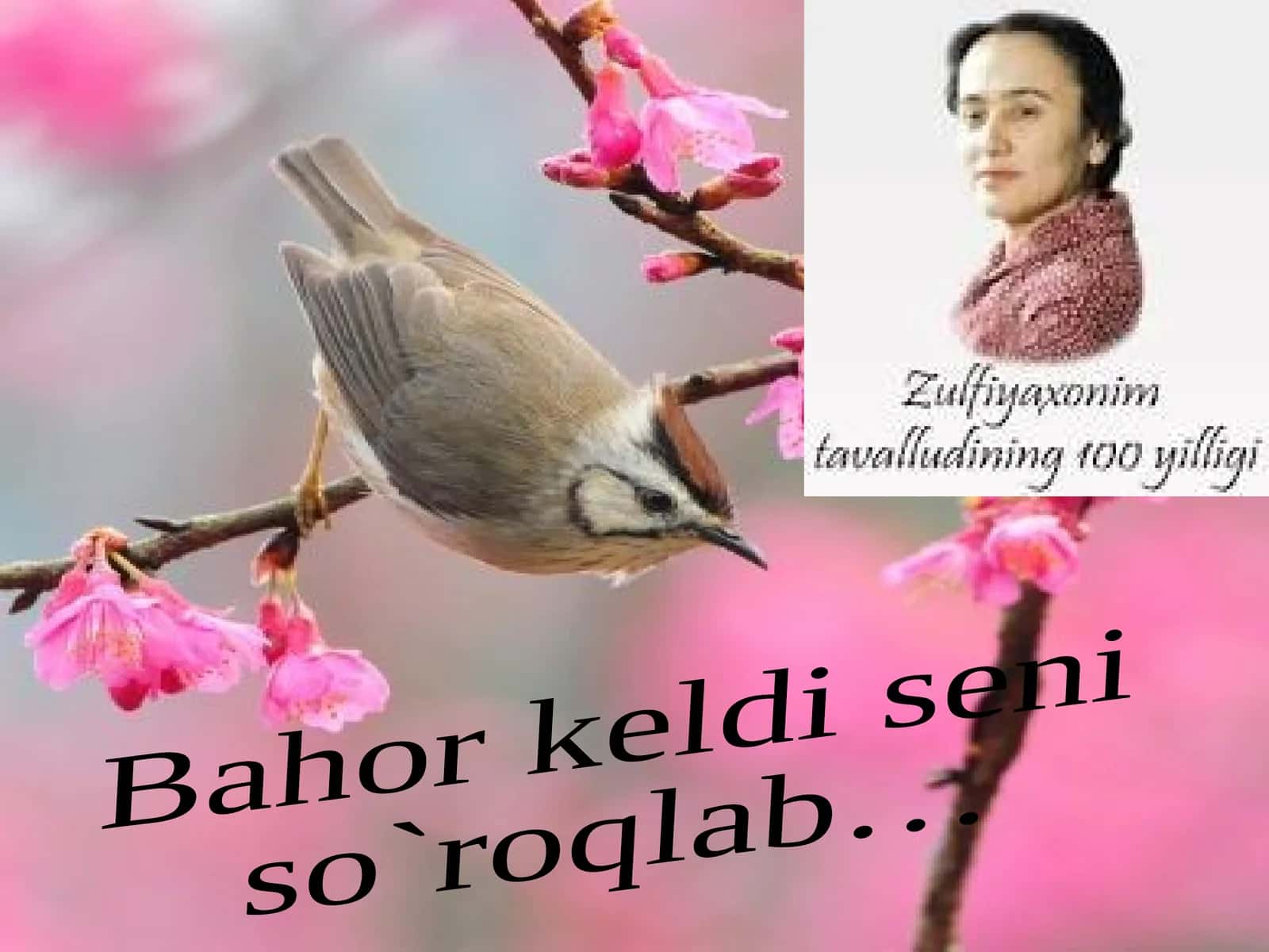 Zulfiyahayoti va ijodi