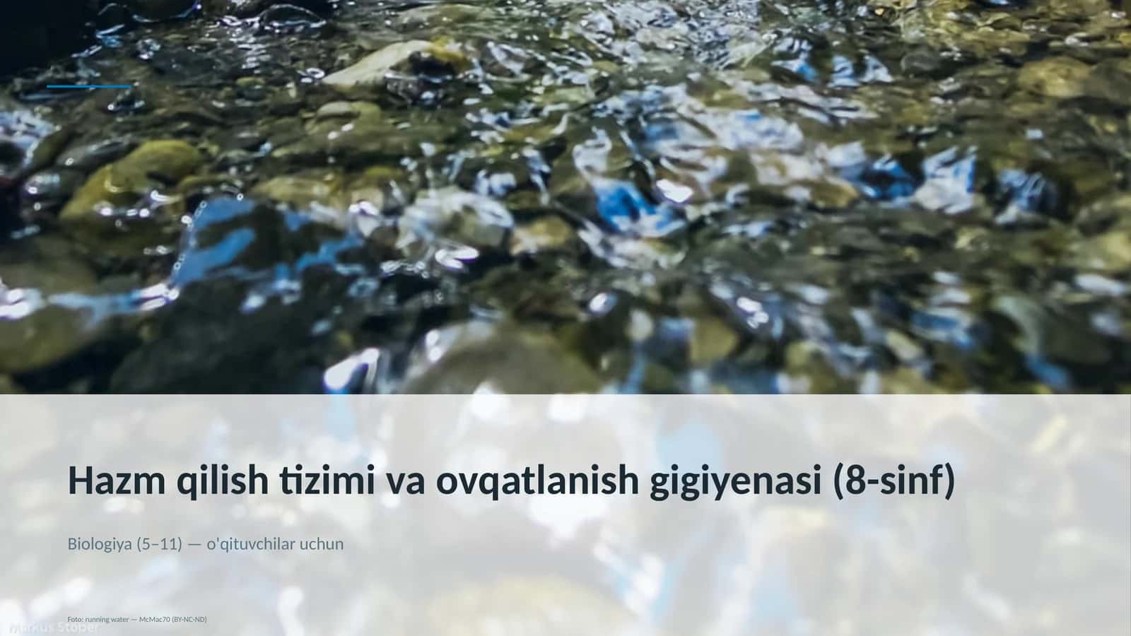 Hazm qilish tizimi va ovqatlanish gigiyenasi (8-sinf)