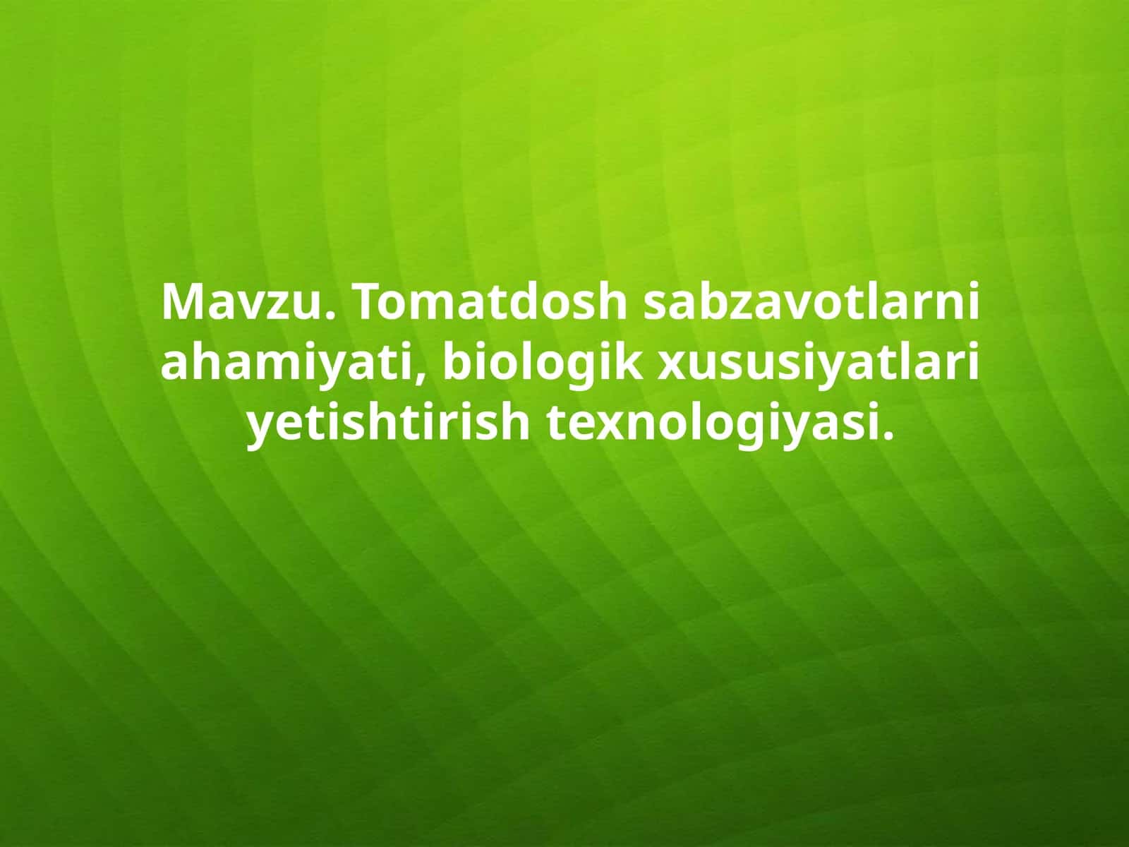 Pomidor ahamiyati, biologik xususiyatlari va texnologiyasi