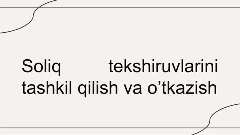 Soliq tekshiruvlarini tashkil qilish va o’tkazish