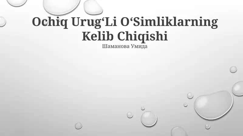 Ochiq UrugʻLi OʻSimliklarning Kelib Chiqishi