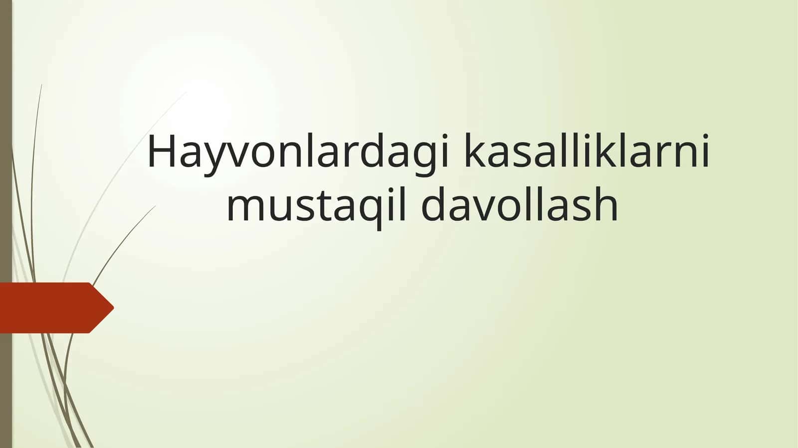 Hayvonlardagi kasalliklarni mustaqil davollash