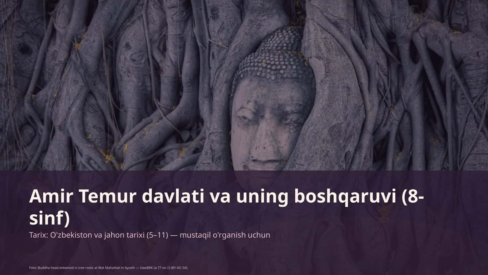 Amir Temur davlati va uning boshqaruvi (8-sinf)