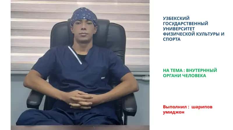 ВНУТЕРННЫЙ ОРГАНИ ЧЕЛОВЕКА