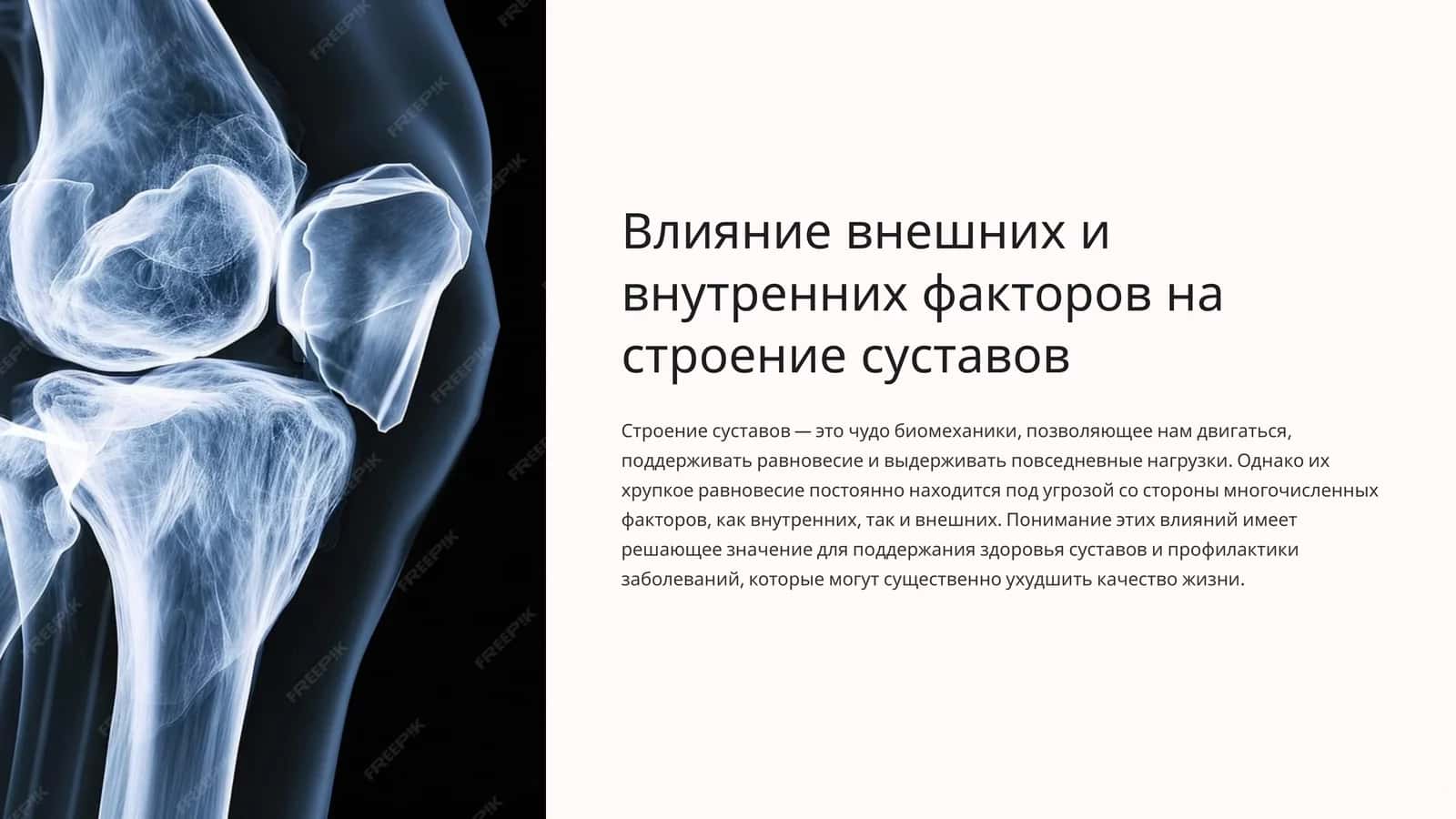 Влияние внешних и внутренних факторов на строение суставов