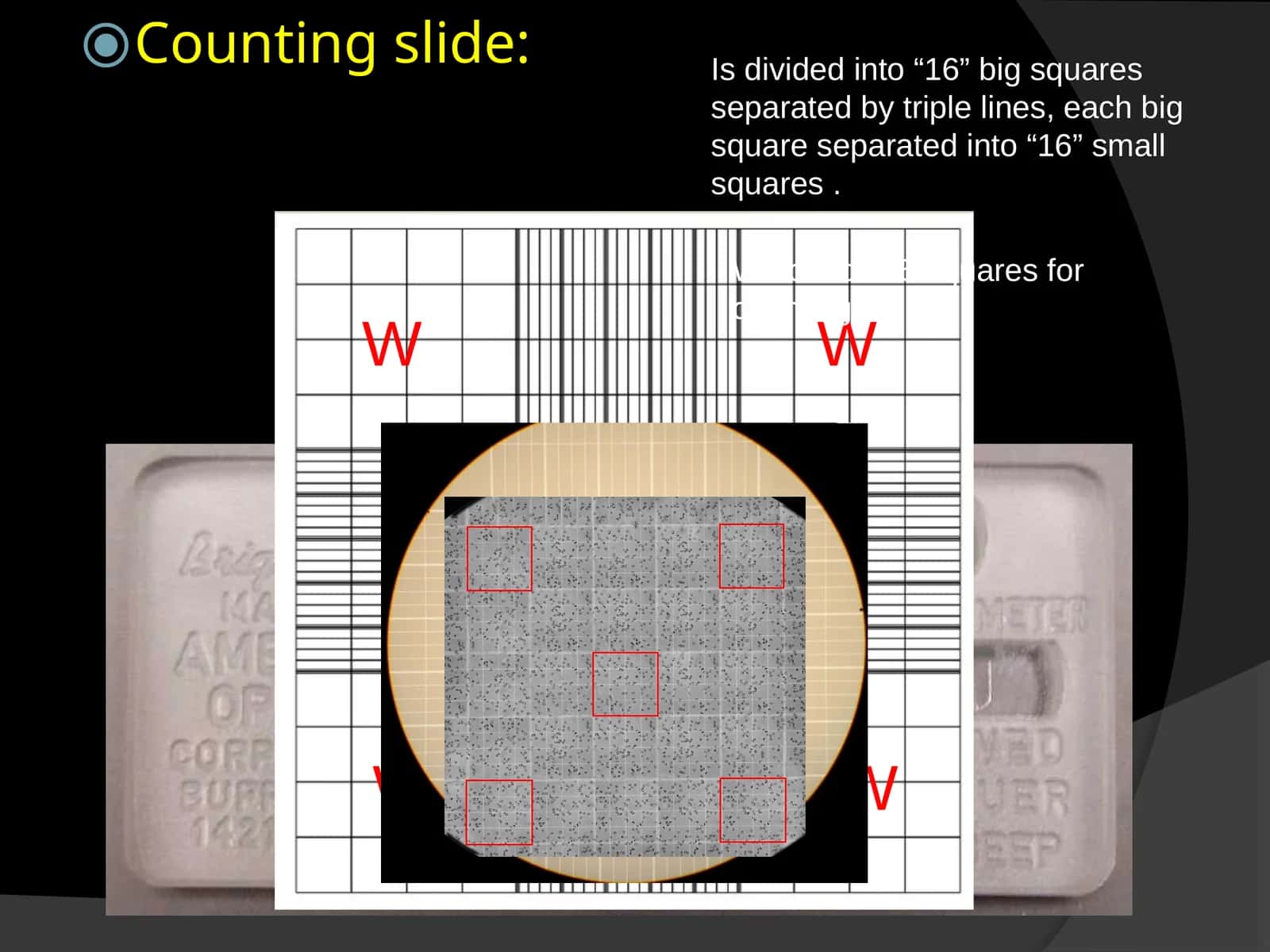 Counting slide