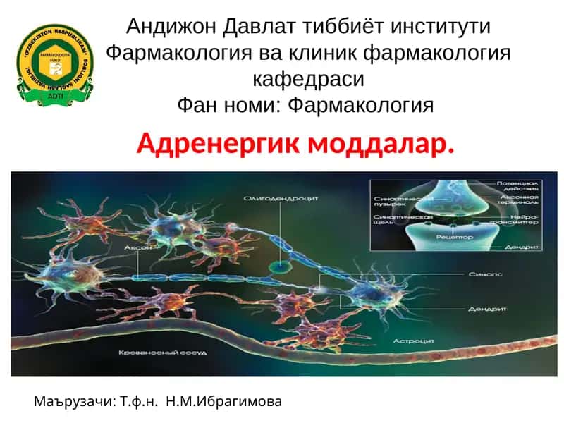 Адренергик моддалар