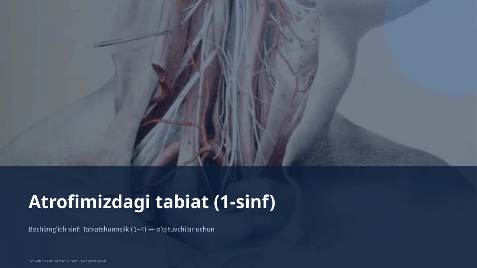 Atrofimizdagi tabiat (1-sinf)