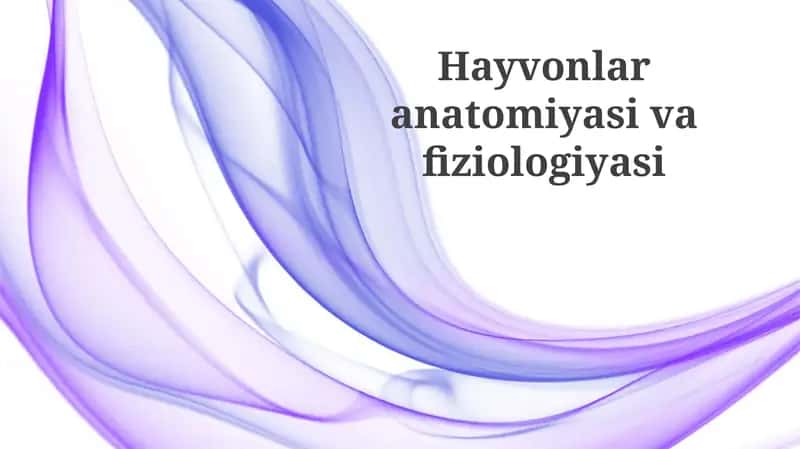 Hayvonlar anatomiyasi va fiziologiyasi