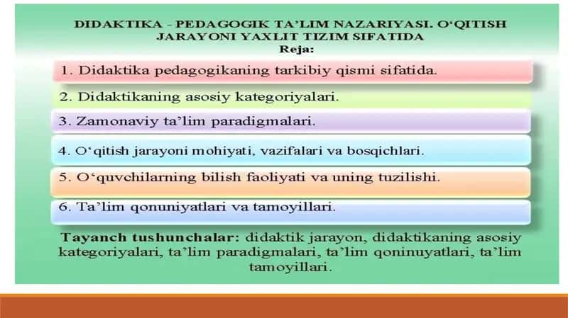 Didaktika ta’lim nazariyasi sifatida.