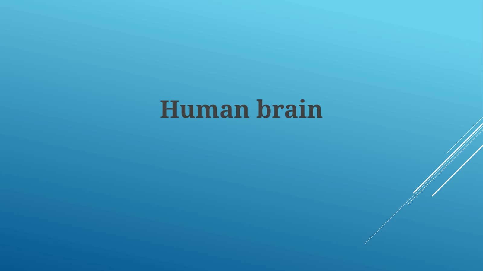 Human brain