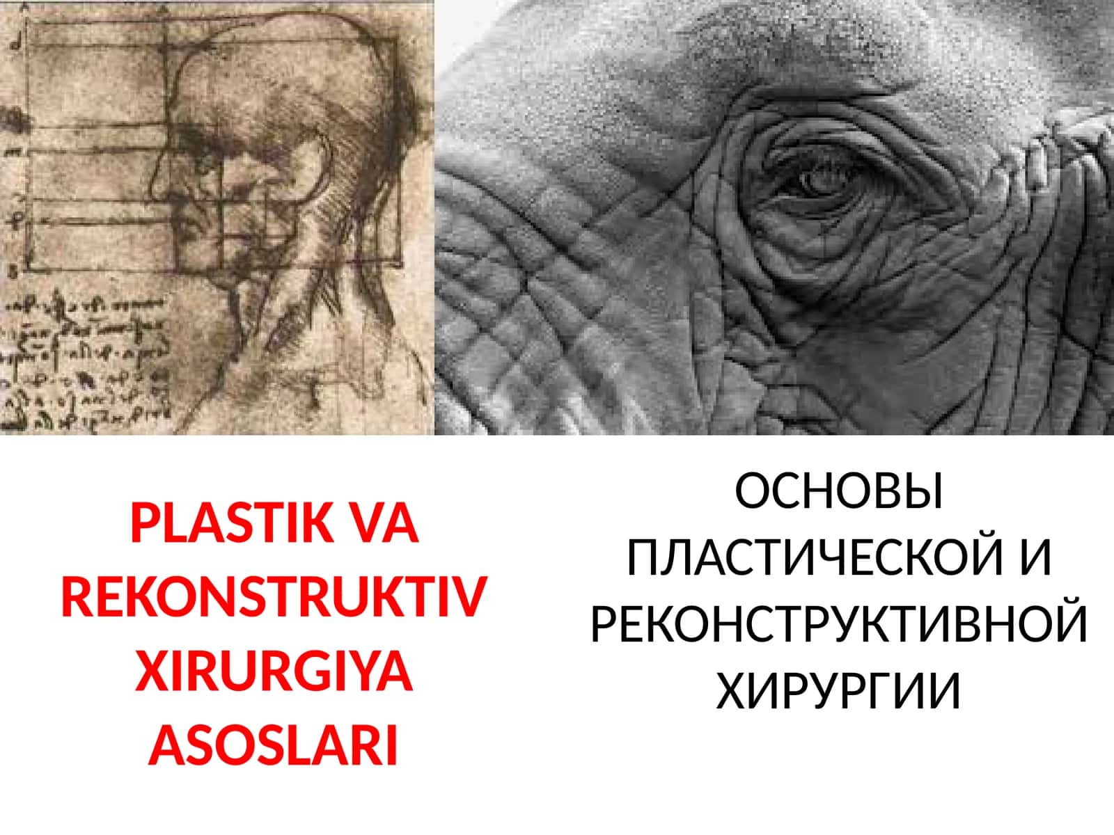 PLASTIK VA RЕKONSTRUKTIV XIRURGIYA ASOSLARI