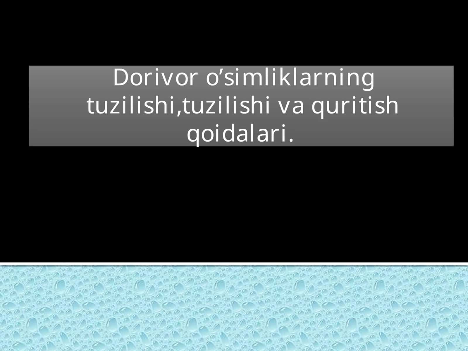 Zirk qoraqand