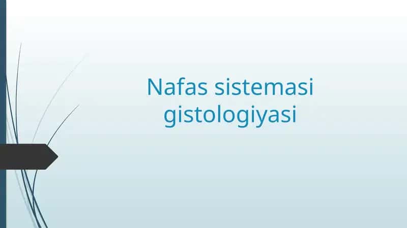 Nafas sistemasi gistologiyasi