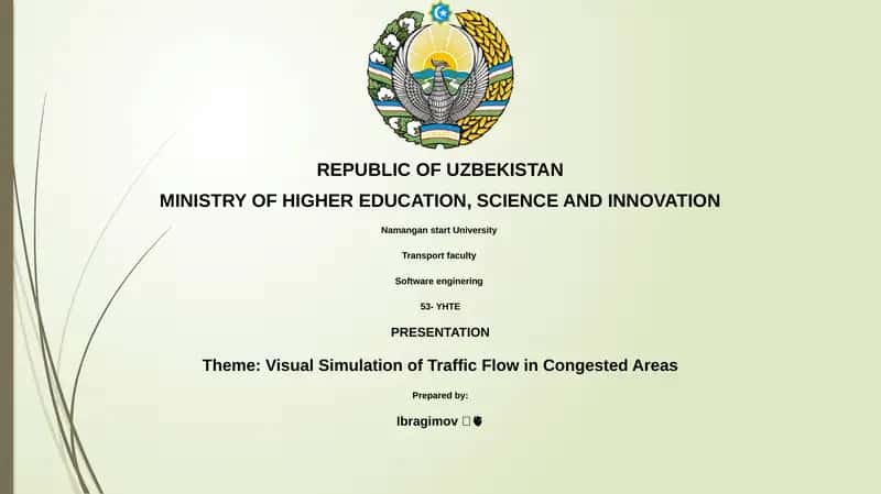 Visual Simulation of Traffic Flow in Congested Areas