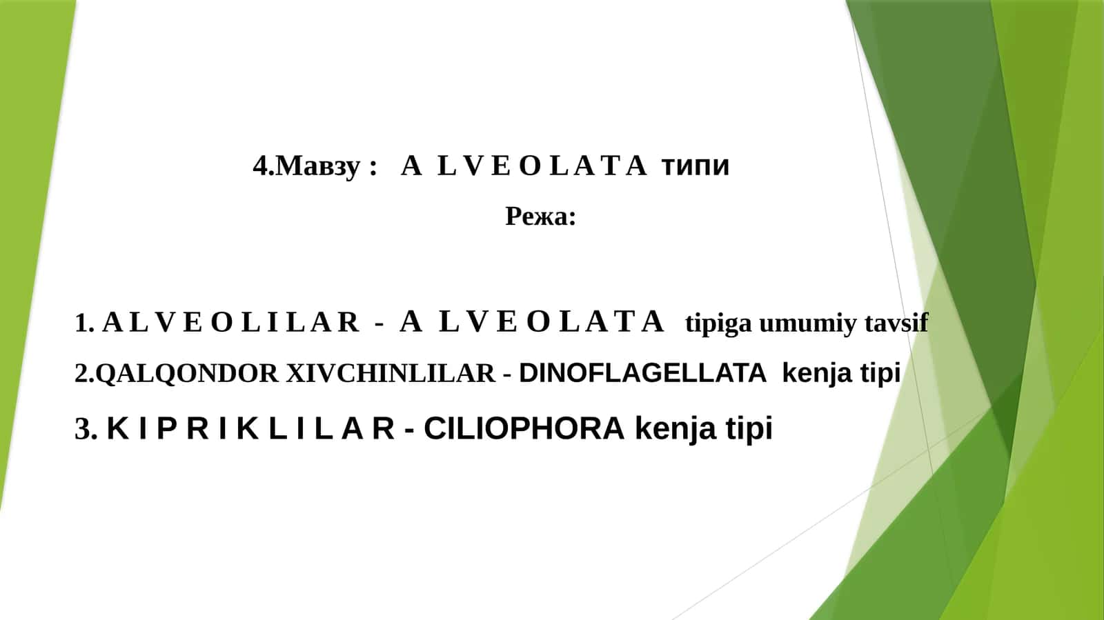 АL V E O L A T Aтипи