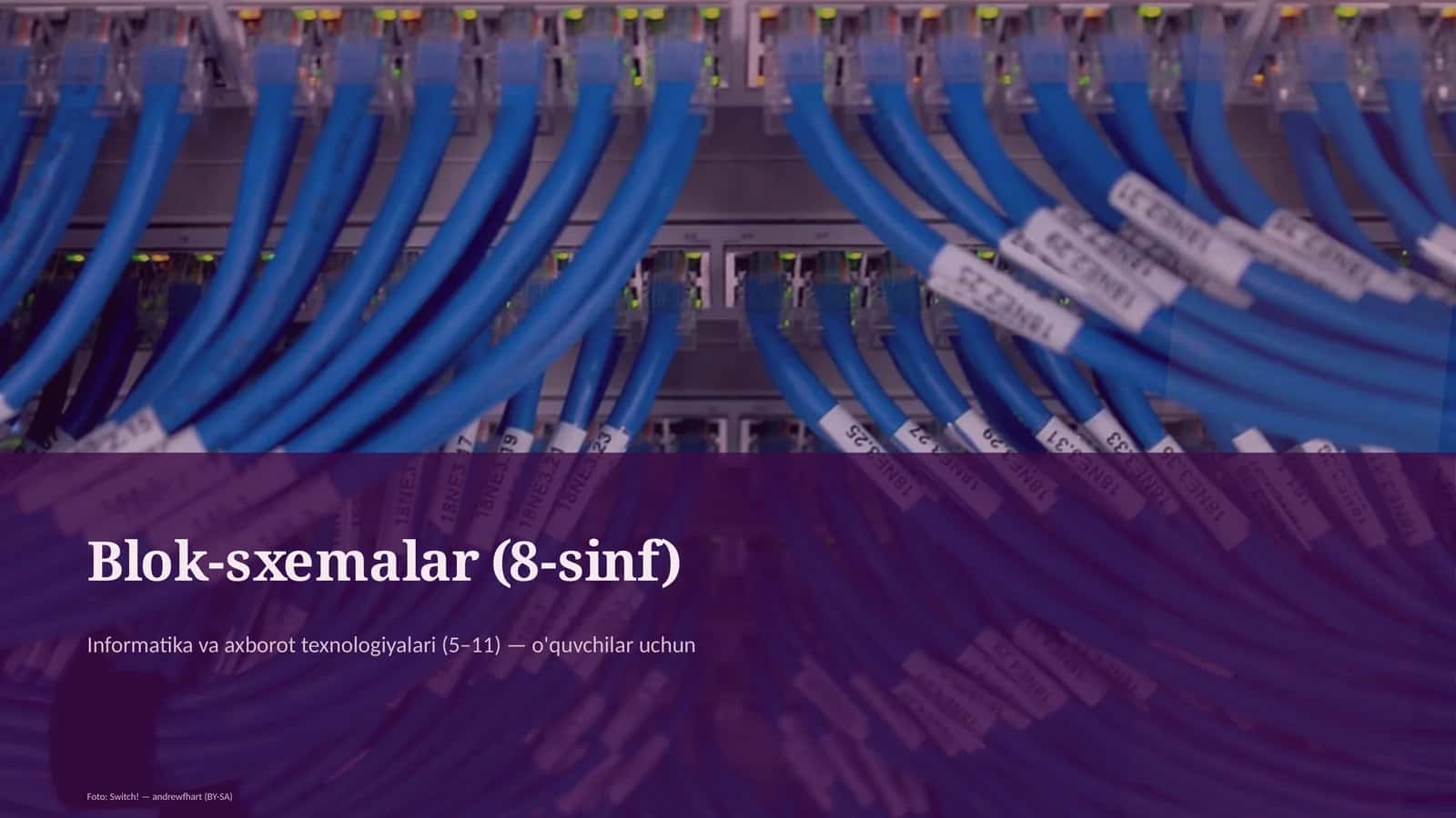 Blok-sxemalar (8-sinf)