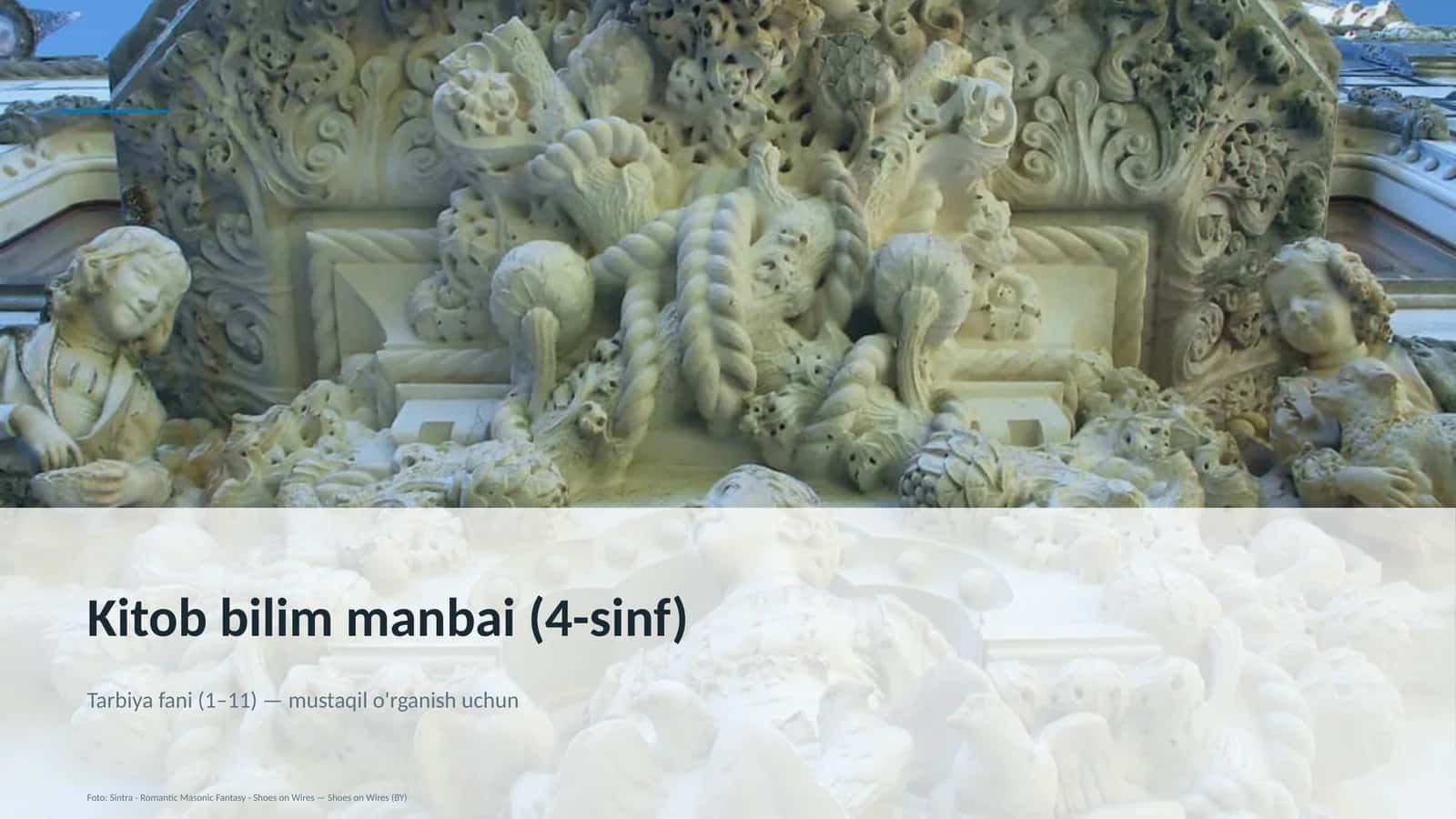Kitob bilim manbai (4-sinf)