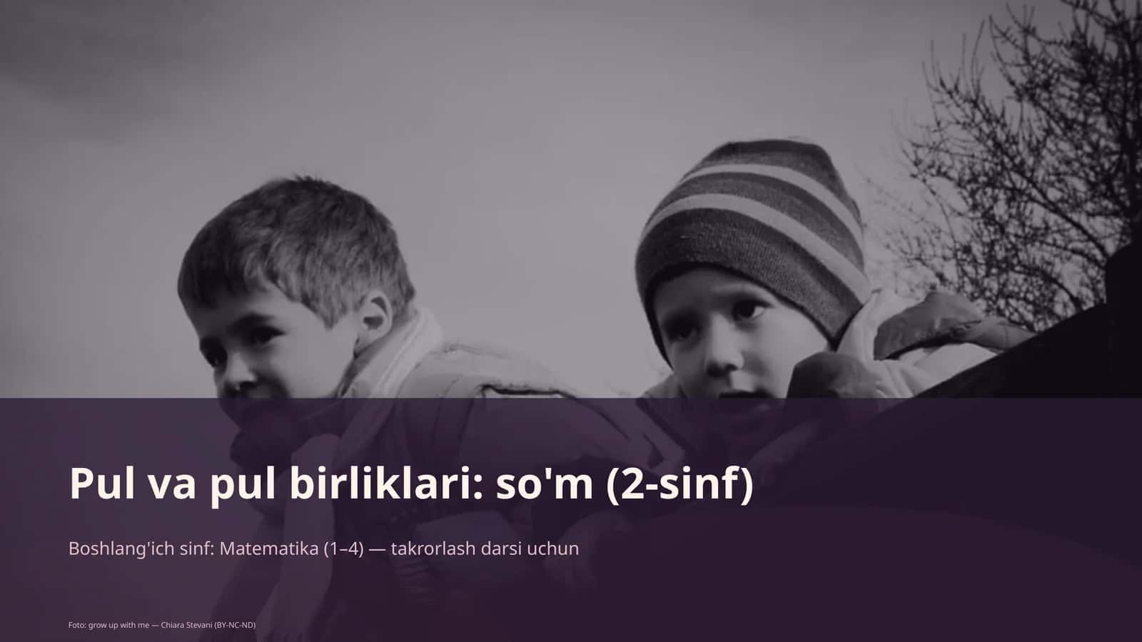 Pul va pul birliklari: so'm (2-sinf)