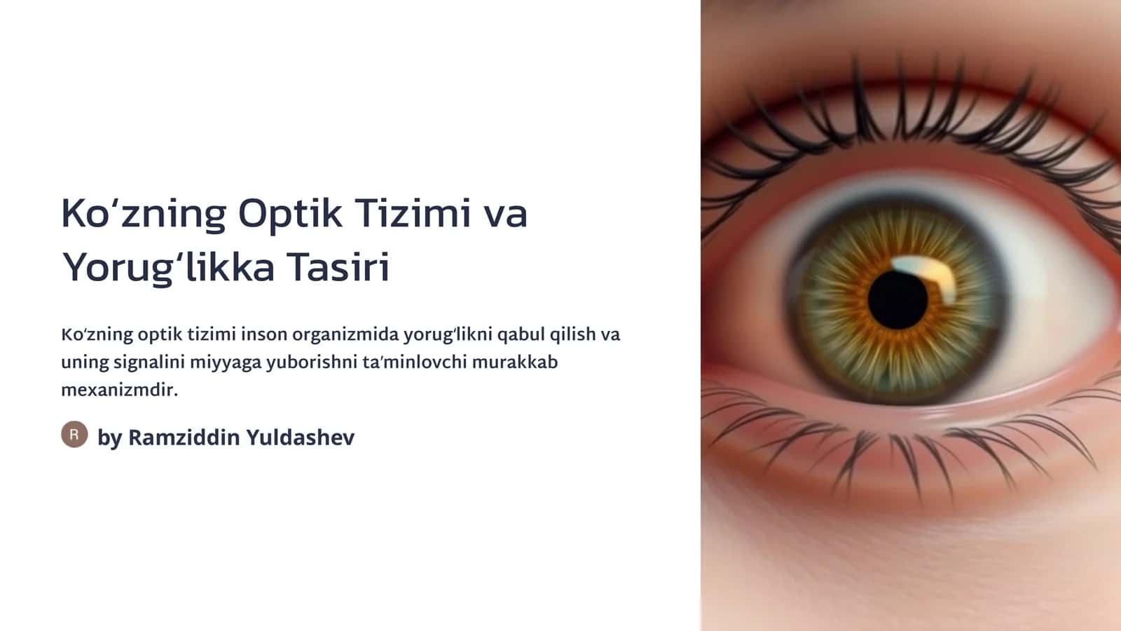 Koʻzning Optik Tizimi va Yorugʻlikka Tasiri