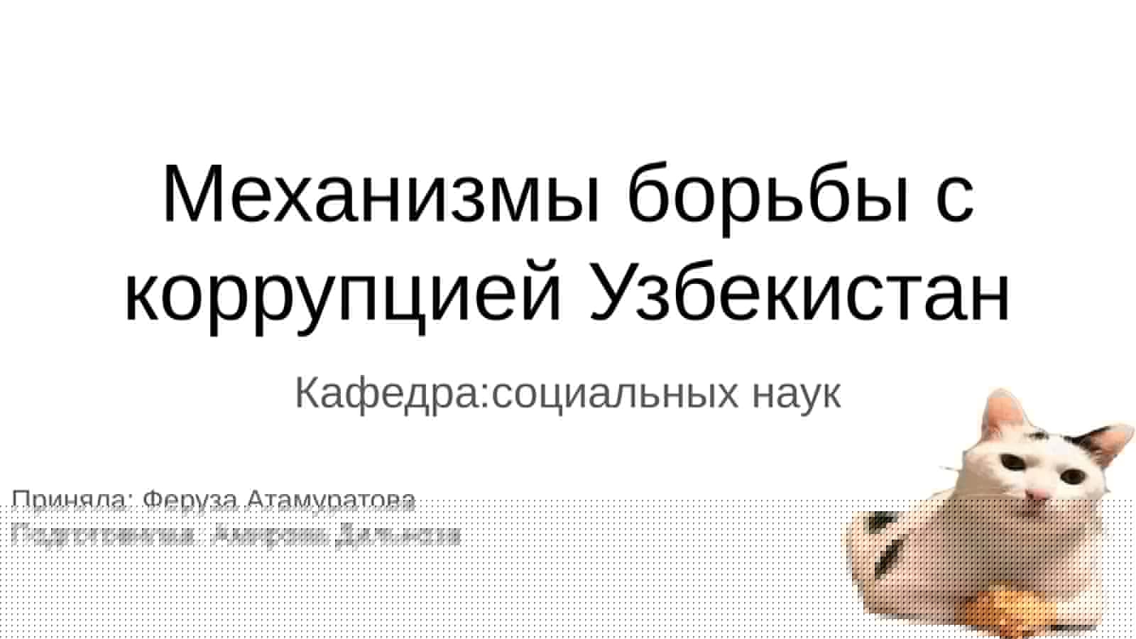 Механизмы борьбы с коррупцией Узбекистан