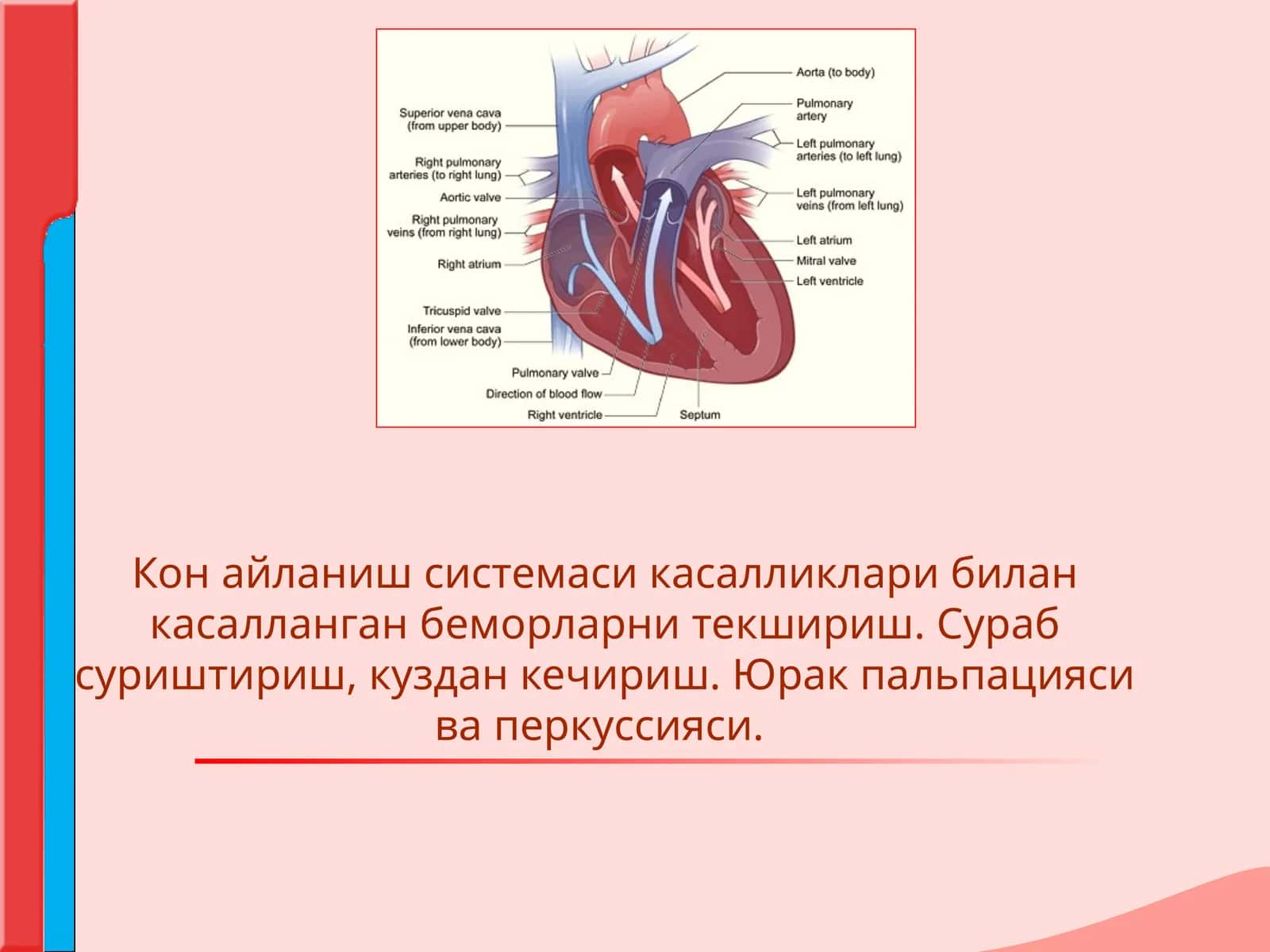Кон айланиш системаси