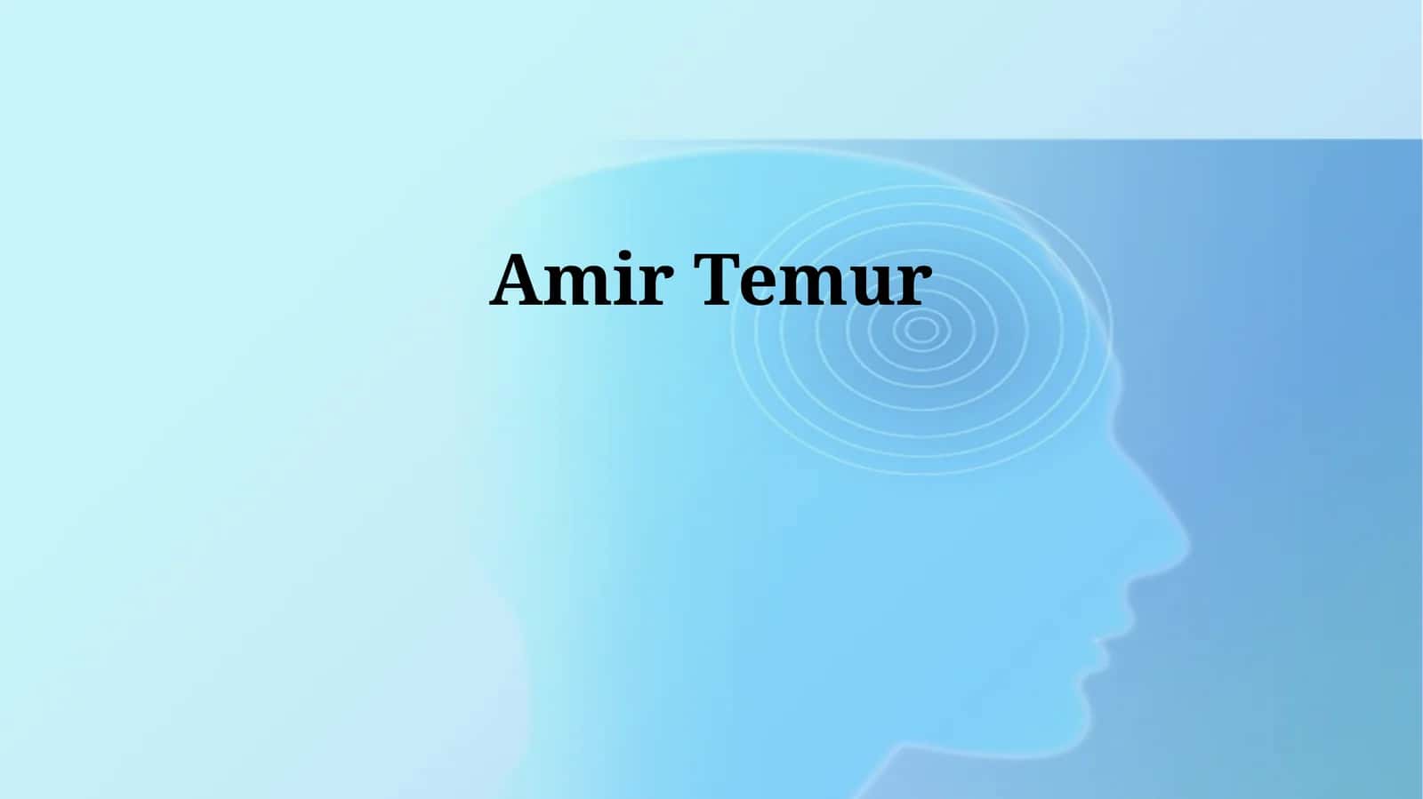 Amir Temur