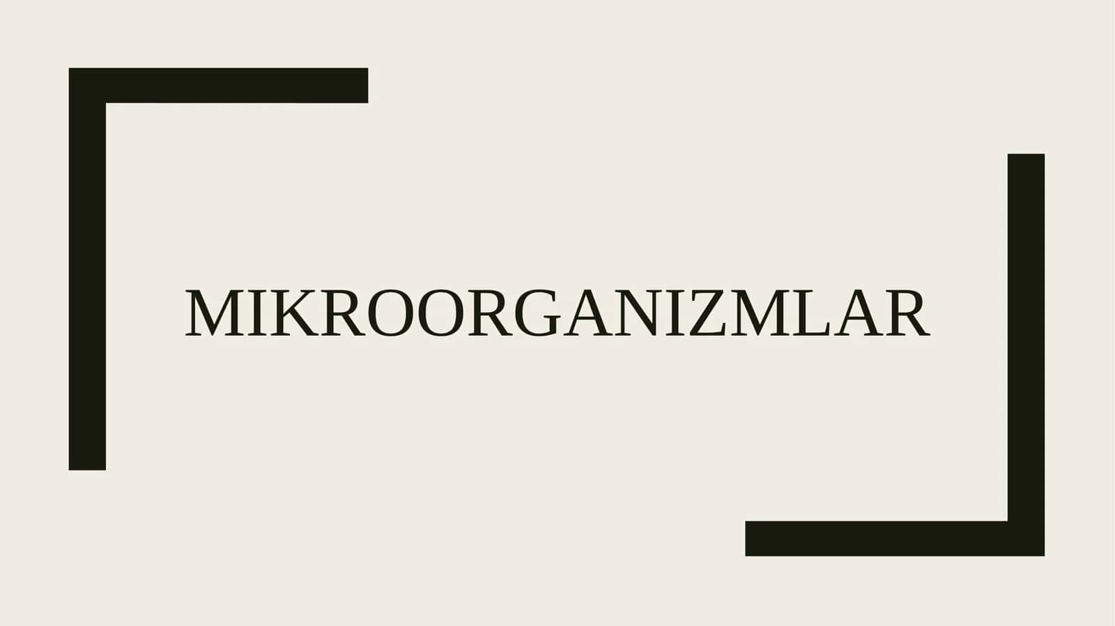 Mikroorganizmlar
