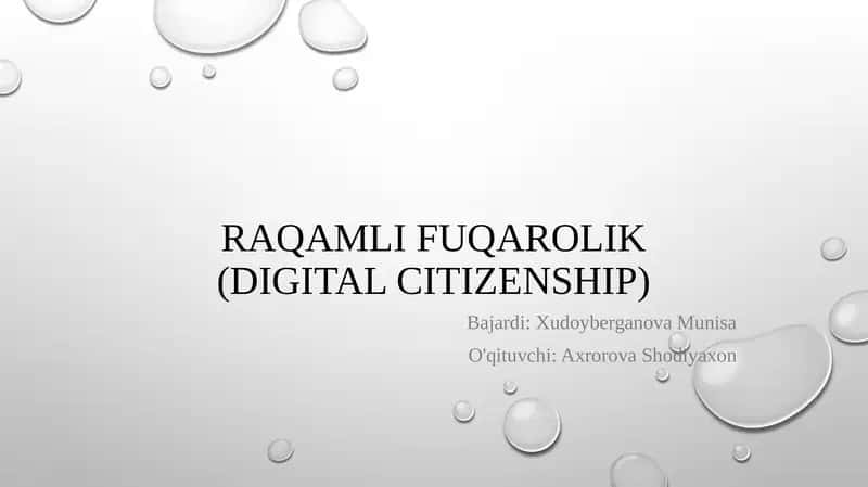 Raqamli fuqarolik (Digital Citizenship)