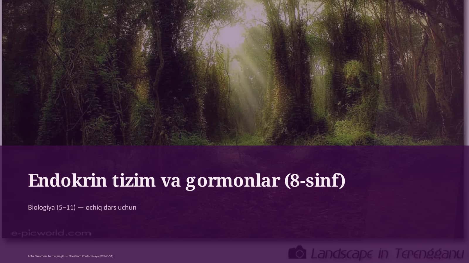 Endokrin tizim va gormonlar (8-sinf)